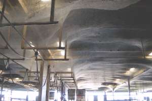 Baltimore wastewater plant spider web 180119 140656