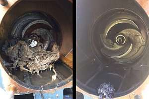 Capture 250605 160033