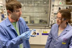 Northwestern sponge study main