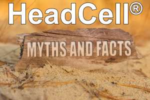 Image003 210330 113555