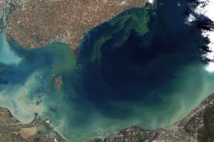 Algal Bloom Nasa