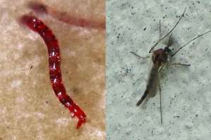 Aquafix tpo pr sponsor large