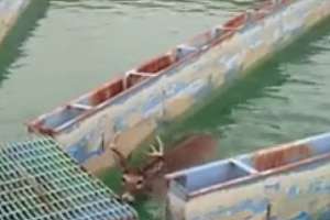 Screen shot 2016 01 12 at 11 06 43 am