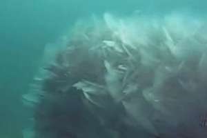 Frazil Ice Lake Michigan Intake