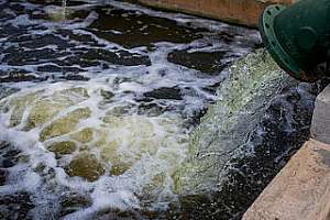 24902243742 0510da5d10 n