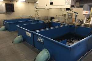 Application Profile CMF for Phosphorus 1280x960