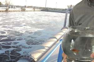 April Fools Challenge Nystrom TPO