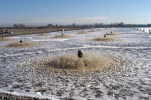 Aqua Jet Aerator Brochure