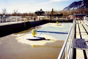 Colorado Springs Aqua DDM