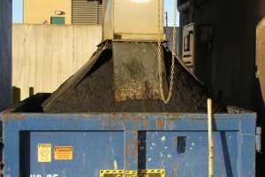 Dumpster Load Midway Through Storm with 3 in of rain over 2 days