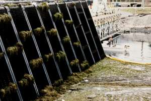 Duperon stormwater sct24230005