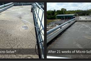 EGSW Case Study Dec2020 PIC