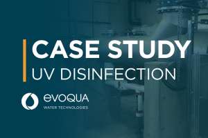 EWT IMG Case Study 1280x960