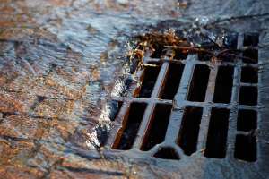 EWT IMG Overflow 1280x960