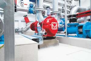 IQ Freiberg printed matter P2