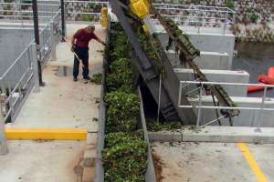 Indian River Content image 2