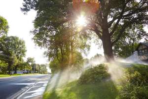 Metropolitan Council Hearts Minds