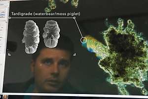 O1015 Carver Fairfield 180119 131950