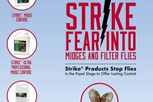 Strike Brochure2024