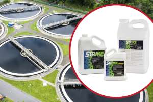 Strike Educational Piece2024