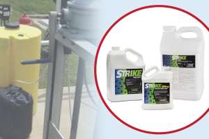 Strike Educational Piece2024 Preview Image June