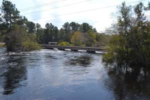 TPO Sunbelt Content 2