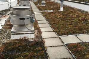 Tpo0320 Sustainable Operations Wnnipes1