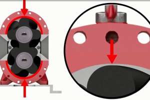 Vogelsang housing adjustments 200512 130121