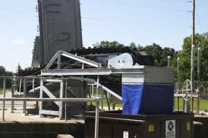 Wilson NC IMG 5729 1280x960