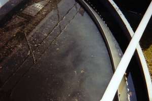 Activated Sludge Process2