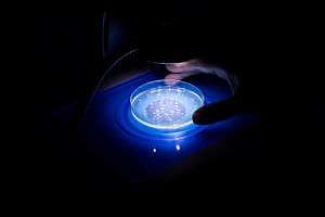 Acwa Calgary Wastewater 0052 W300