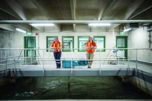 Adf belleville water09