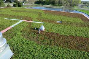 Badger meter green roof completed 180122 121210