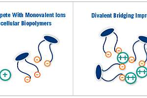 Biofloc illustration