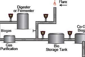 Biogas