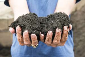 Biogas council pr