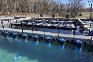 Biomicrobics case study 25 12