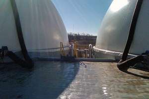 Bionetix 180122 114016