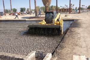 Brown bear series r31