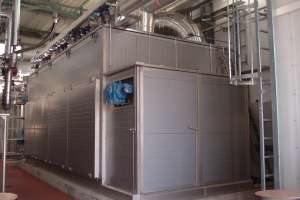 Bt dryer system
