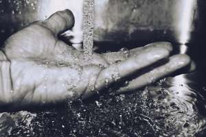 Close up 1853575 1920