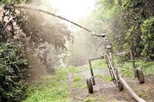 Cole Moberlytreatment 0125