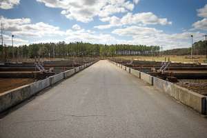 Craft Tpo Wrwisewatertp 38