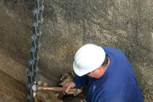 D gariepy charlotte 008