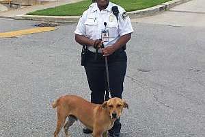 Duck Dynasty Richmond Water Treatment Plant 2 W300