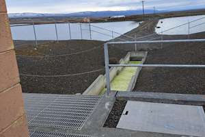 Enbioganic technologies case study