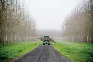 Eugeneoregonmwmc Bishoff006