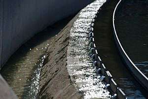 Fairhaven Clarifier W300