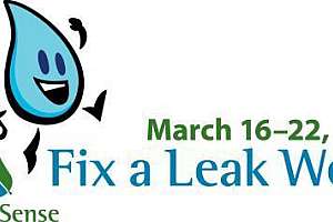 Falw full logo 2015 large