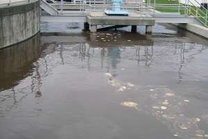 Figure 1 180122 113914